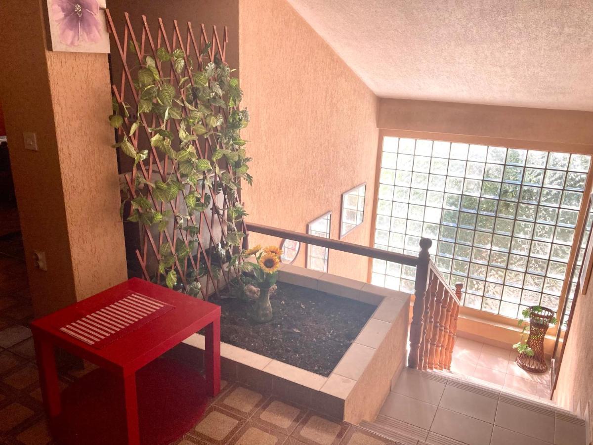 Apartmani Ilic Herceg Novi Exteriér fotografie